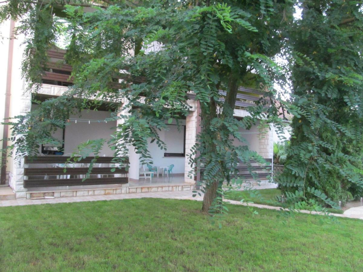 Apartments Zvezdica*** With Garden Zambratija  Exteriör bild